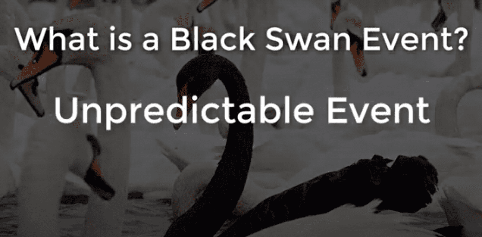 The impact of a "Black Swan" event